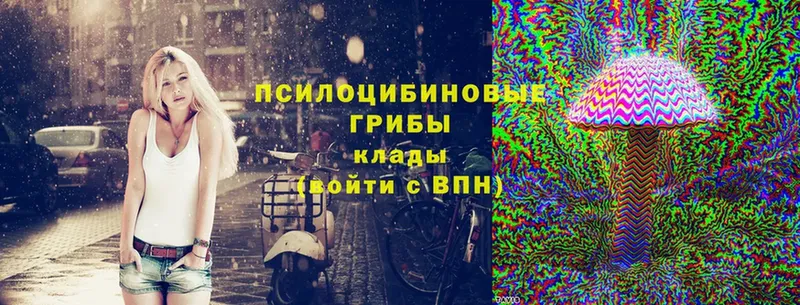 Псилоцибиновые грибы MAGIC MUSHROOMS  Электросталь 